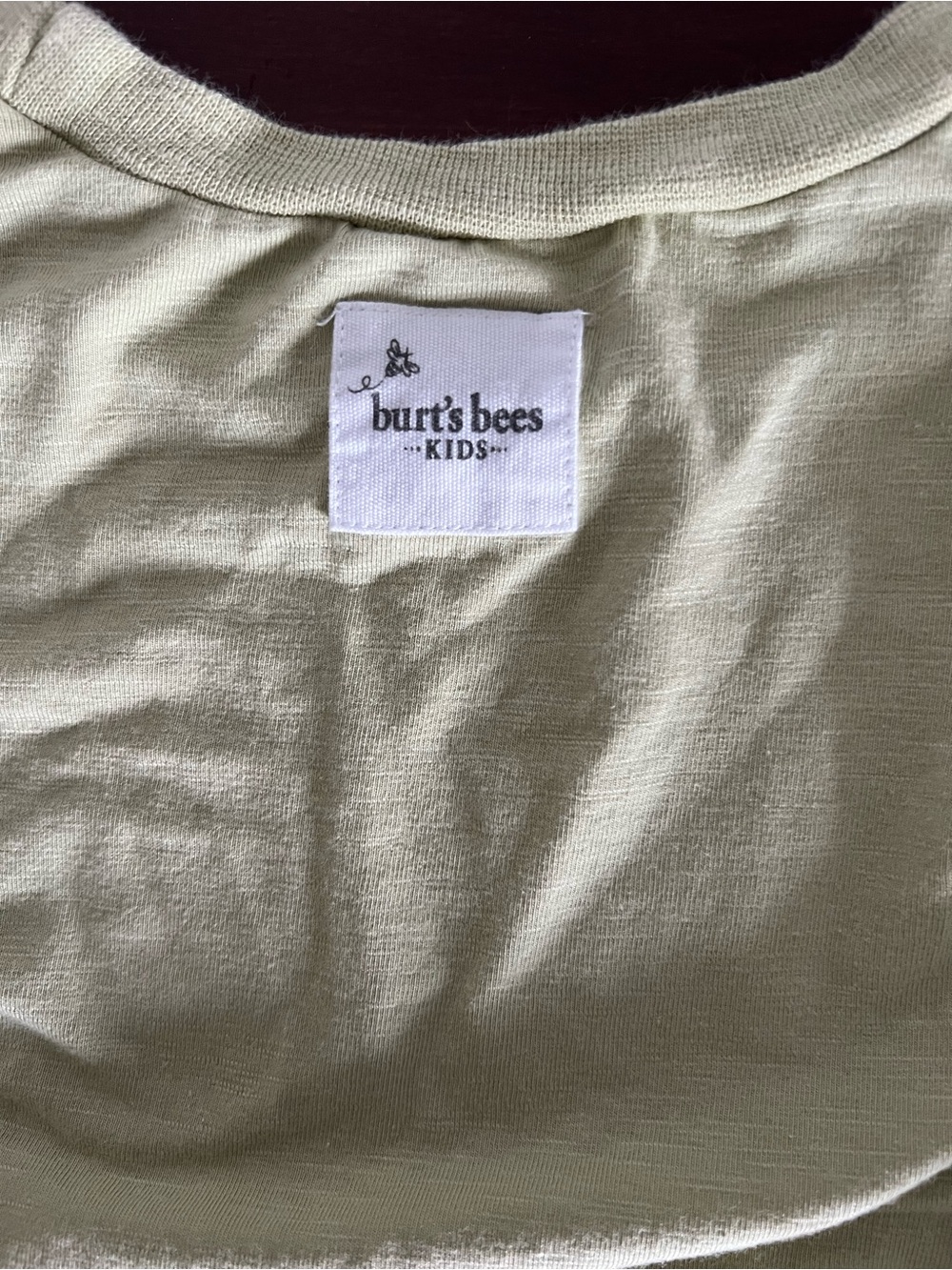 Burt's Bees Kids Tee in Sage Green
